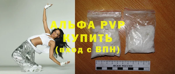 твердый Ладушкин
