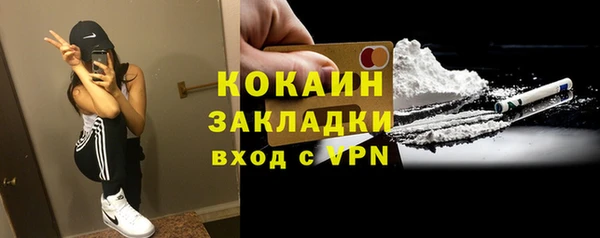 хмурый Лагань