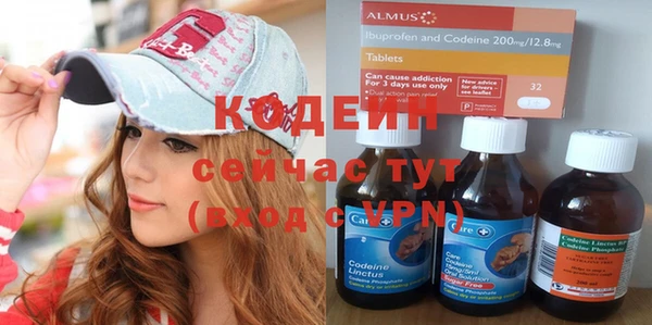 хмурый Лагань