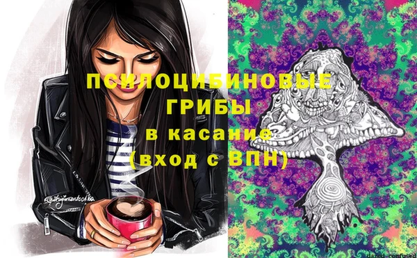 молекула духа Лиски